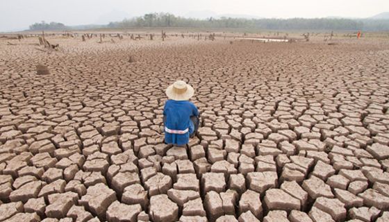 Durch den Klimawandel können sich viele Erreger leichter vermehren und ausbreiten.