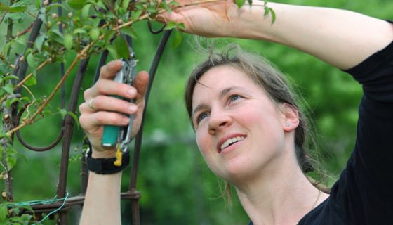 Frau bei der Gartenarbeit