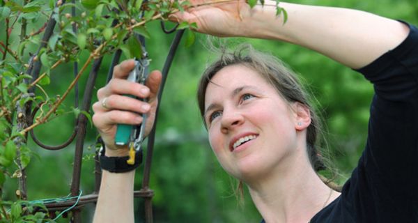 Frau bei der Gartenarbeit