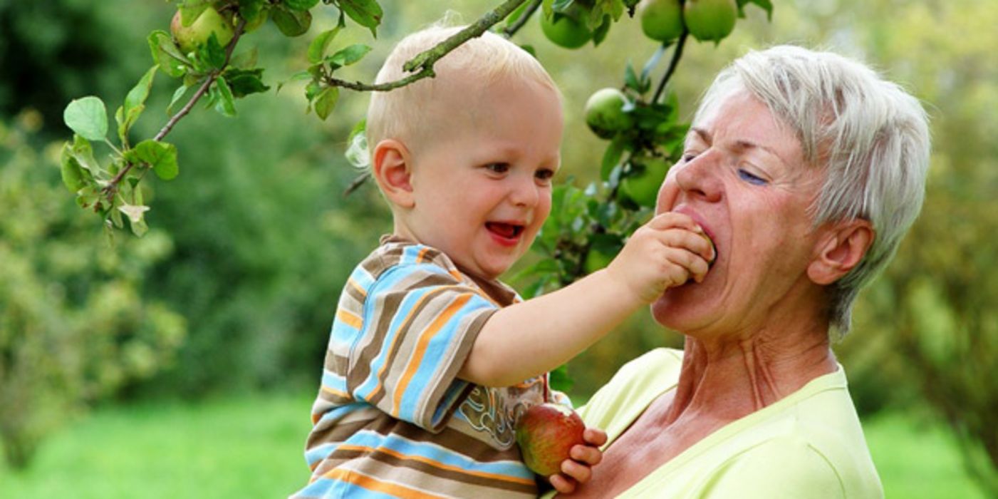 Eine Großmutter beißt in einen Apfel, den ihr ihr Enkel hinhält