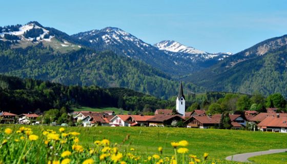 Allgäudorf mit Bergen im Hintergrund und blühenden Wiesen im Vordergrund