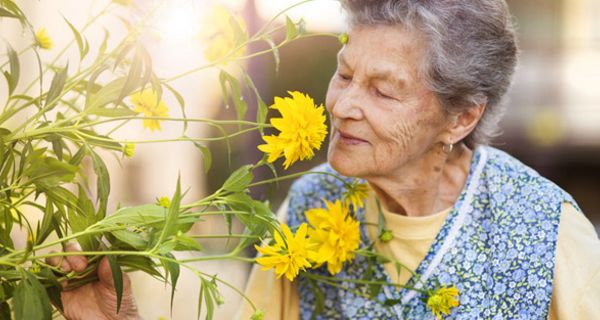 Ein Geruchstest könnte Hinweise auf eine Alzheimer-Erkrankung liefern.