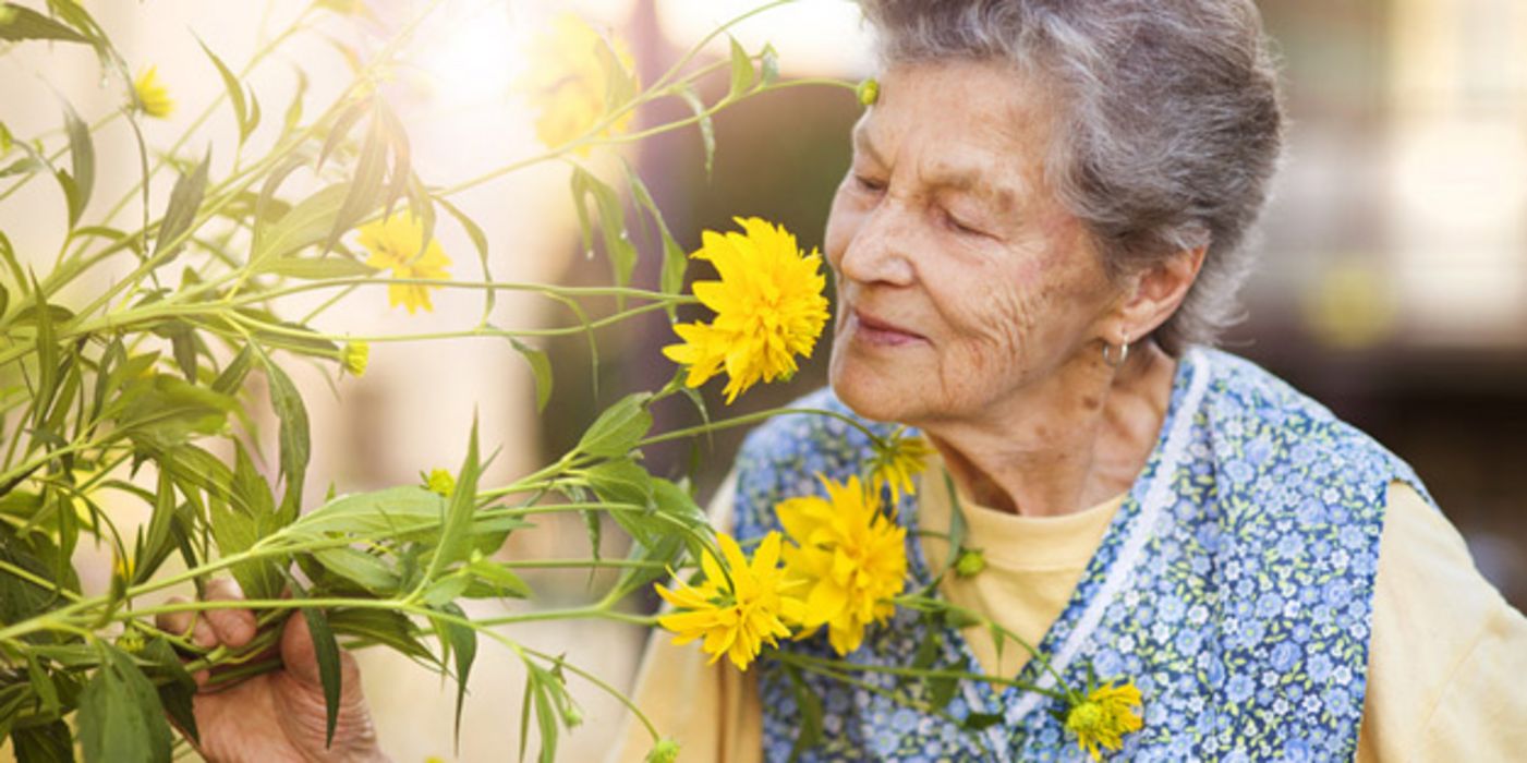 Ein Geruchstest könnte Hinweise auf eine Alzheimer-Erkrankung liefern.
