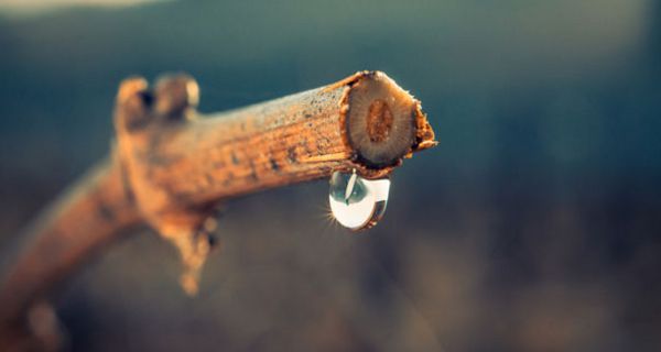 Forscher haben das Geheimnis um das Plopp-Geräusch eines Wassertropfens gelüftet.