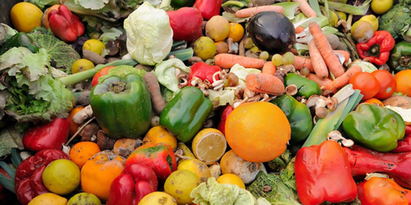 Lebensmittelverschwendung in Europa umfasst auch Obst und Gemüse, das noch verwendbar gewesen wäre.