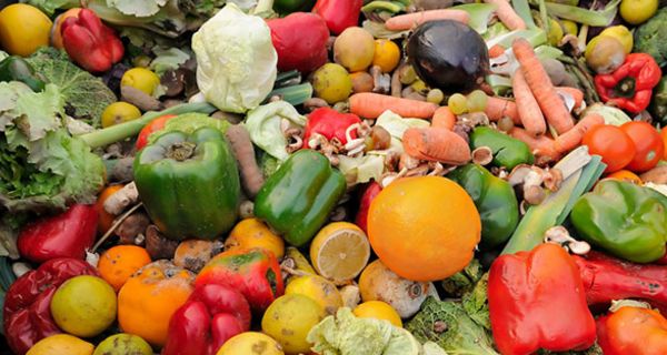 Lebensmittelverschwendung in Europa umfasst auch Obst und Gemüse, das noch verwendbar gewesen wäre.