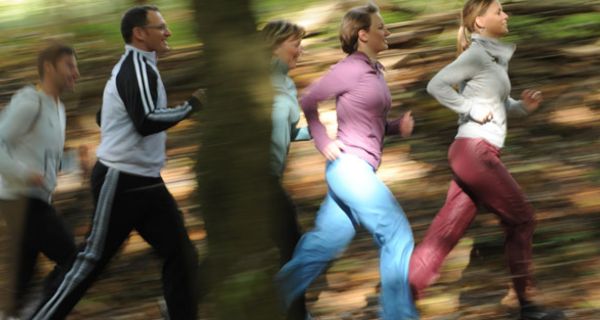 Gruppe joggt im Wald