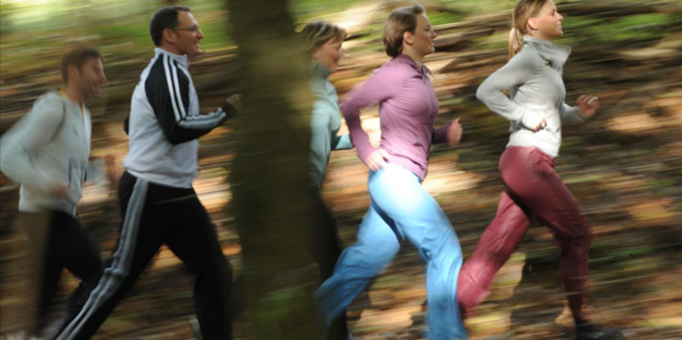 Gruppe joggt im Wald