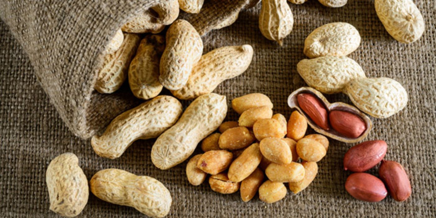 Foodfoto: Erdnüsse in Schale fallen aus Jutesäckchen auf Jutestoff, aufgebrochene Schale mit Nüssen, handvoll gesalzene Erdnüsse