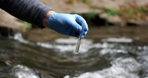 Mensch, holt eine Wasserprobe aus einem Gewässer.