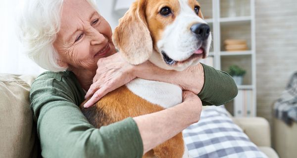 Seniorin mit einem Beagle auf ihrem Schoß.