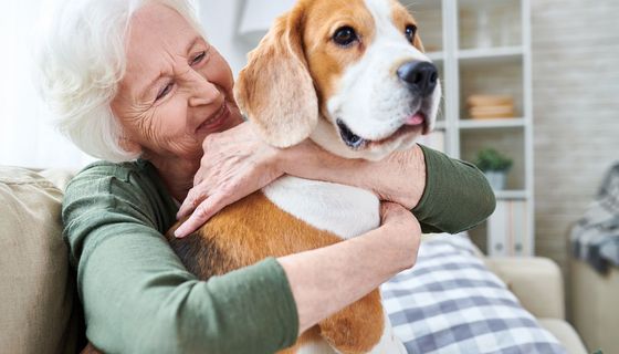 Seniorin mit einem Beagle auf ihrem Schoß.