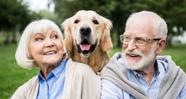 Wer einen Hund hat, ist körperlich aktiver und lebt gesünder.