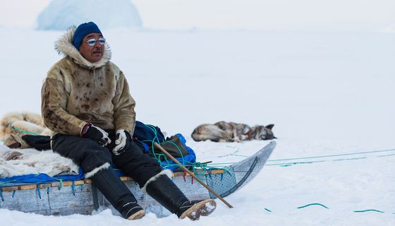 Inuit in einer Schneelandschaft auf einem Hundeschlitten.