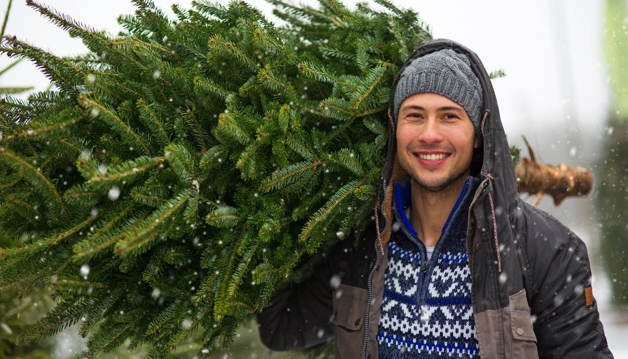 Junger Mann trägt Weihnachtsbaum.
