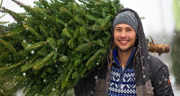 Junger Mann trägt Weihnachtsbaum.