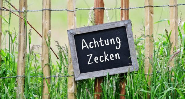 Zaun an einer Wiese mit Zecken-Warnhinweis