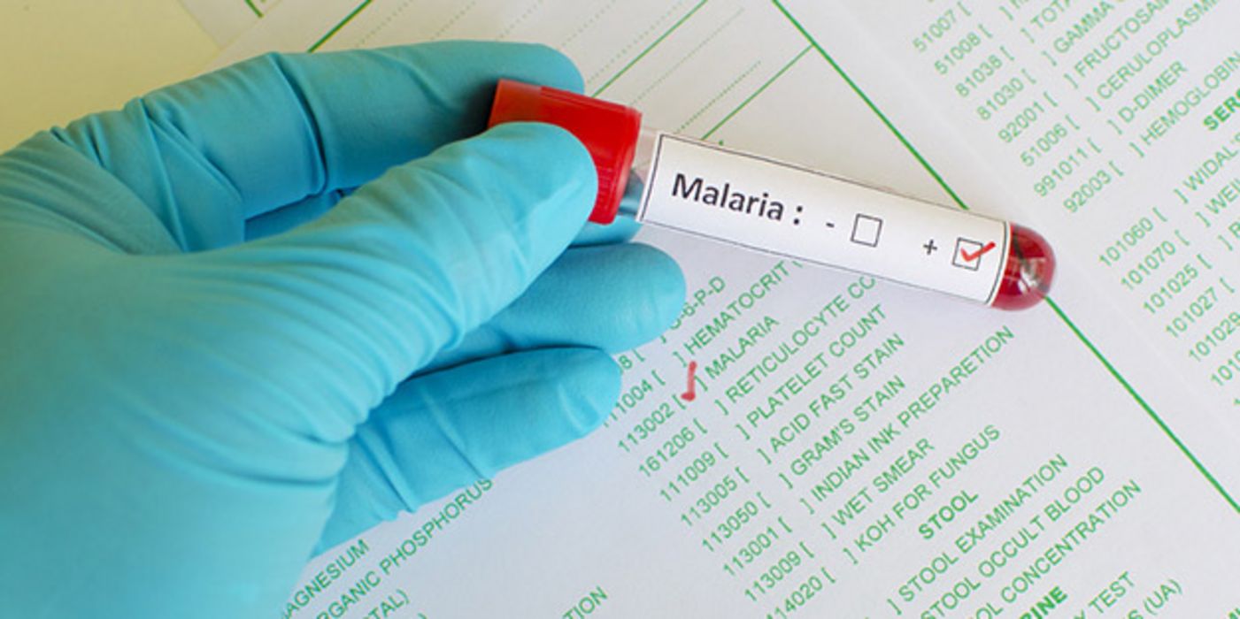 Malaria könnte in Zukunft Krebs heilen.