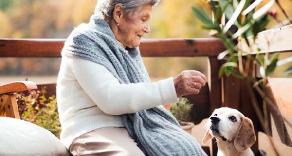 Tiere haben zahlreiche positive Auswirkungen auf den Alltag.