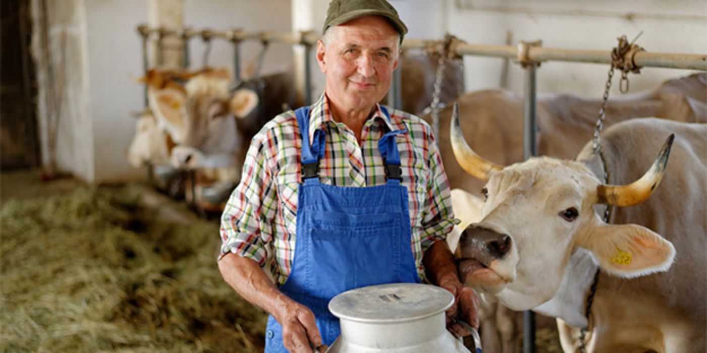 Glückliche Kühe geben nährstoffreichere Milch.