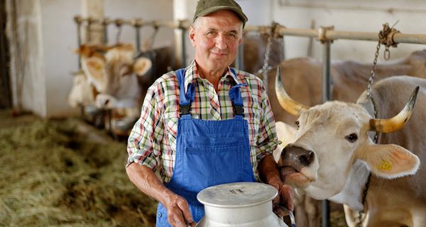 Glückliche Kühe geben nährstoffreichere Milch.