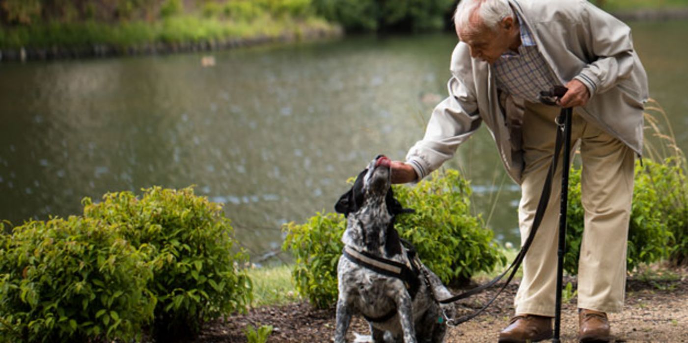 Bei der Vorbereitung fürs Gassigehen kann ein Pflegeroboter älteren Hundebesitzern helfen. 