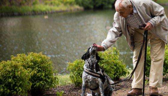 Bei der Vorbereitung fürs Gassigehen kann ein Pflegeroboter älteren Hundebesitzern helfen. 