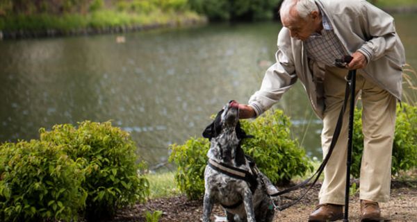 Bei der Vorbereitung fürs Gassigehen kann ein Pflegeroboter älteren Hundebesitzern helfen. 
