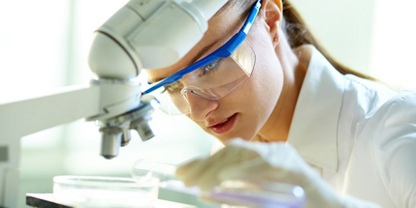 Auch das Immunsystem ist an der Entstehung von Übergewicht beteiligt.