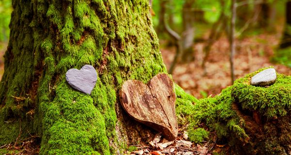 Foto von einem Holzherz am Fuße eines Baums.