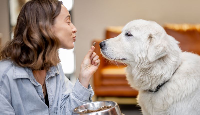 Frau füttert Hund mit Trockenfutter. 