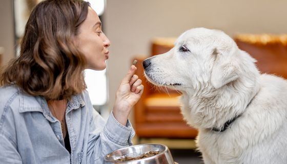 Frau füttert Hund mit Trockenfutter. 
