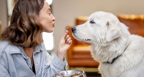 Frau füttert Hund mit Trockenfutter. 