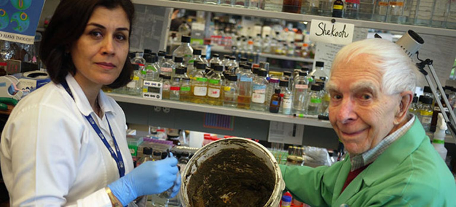 Forscher haben ein neues Mittel gefunden, dass Bakterien tötet.
