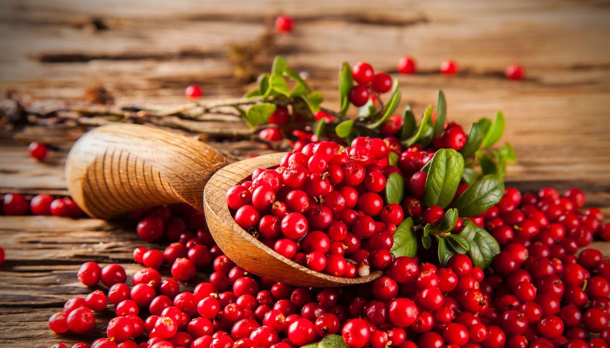 Cranberries auf einem Holztisch mit einem Holzlöffel.