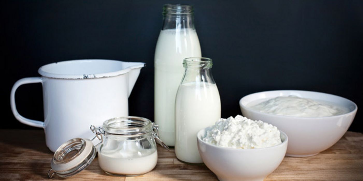 Auswahl an Milchprodukten in Glasgefäßen: Milch, Sahne, Joghurt, Quark