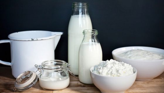 Auswahl an Milchprodukten in Glasgefäßen: Milch, Sahne, Joghurt, Quark
