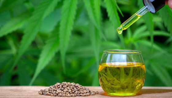 Die Wirkung von Cannabidiol (CBD) wird bei einer Vielzahl von Beschwerden beworben. 