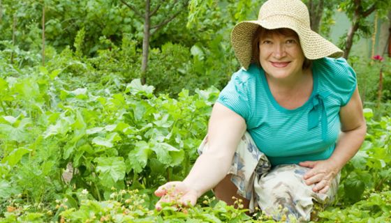 Frau im mittleren Alter bei der Gartenarbeit im Erdbeerbeet hockend. Sie trägt Strohschlapphut und türkises Shirt und lächelt in die Kamera