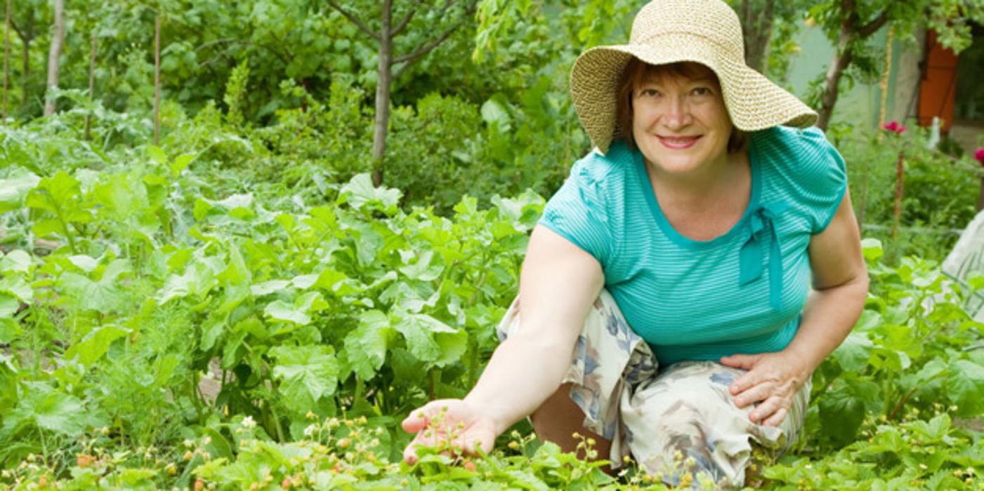 Frau im mittleren Alter bei der Gartenarbeit im Erdbeerbeet hockend. Sie trägt Strohschlapphut und türkises Shirt und lächelt in die Kamera