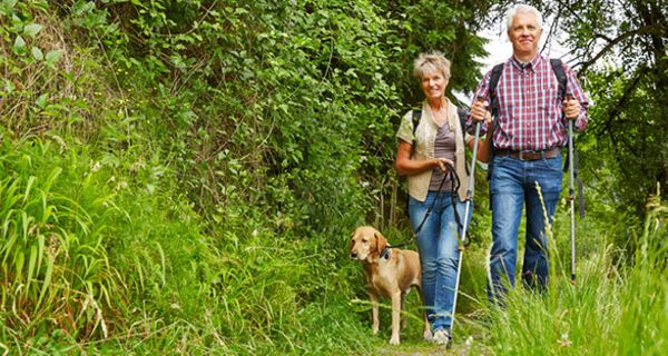 Hundebesitzer profitieren in vielerlei Hinsicht von ihrem Vierbeiner.