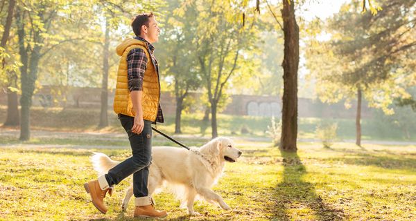 Mann mit einem Hund im Park