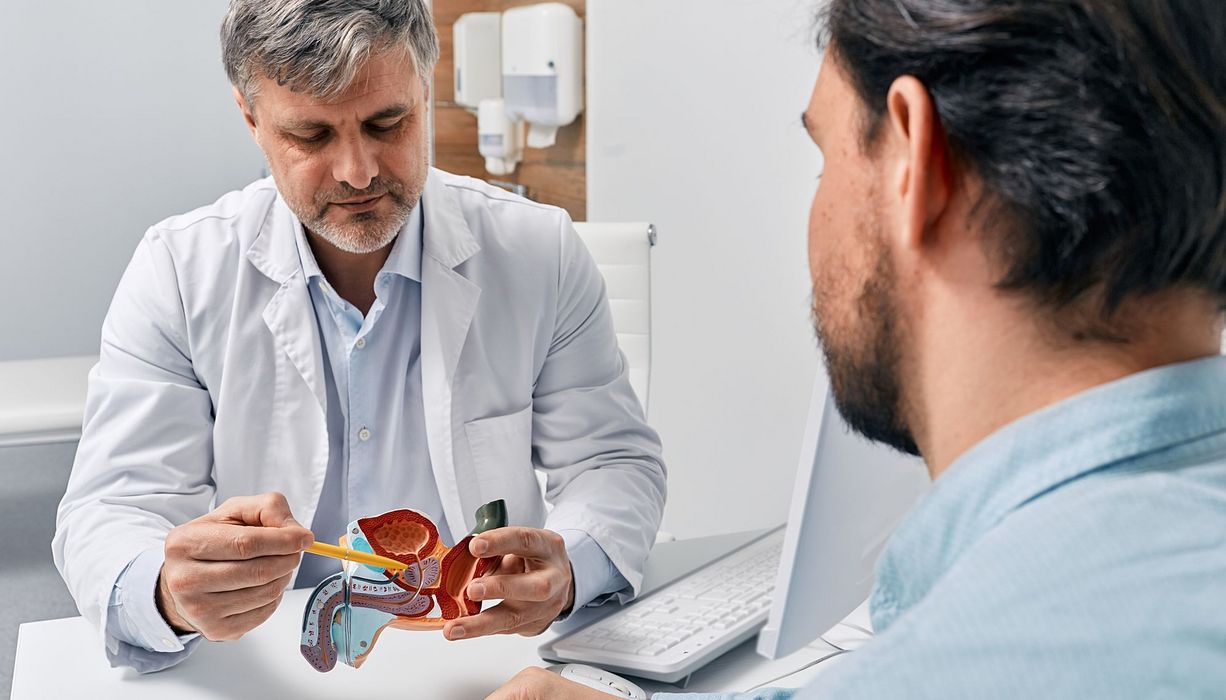 Arzt, erklärt einem Patienten anhand eines Modells eine Prostata.