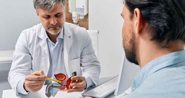 Arzt, erklärt einem Patienten anhand eines Modells eine Prostata.
