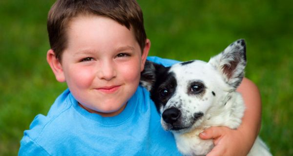 Junge mit blauem T-shirt mit kleinem Hund im Arm