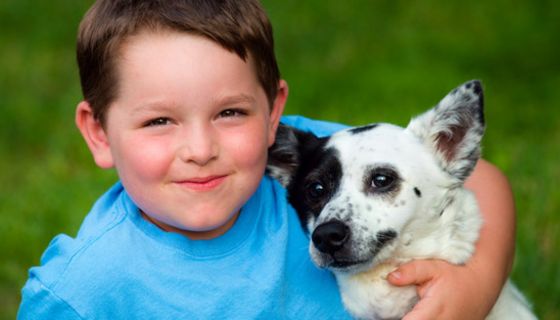 Junge mit blauem T-shirt mit kleinem Hund im Arm