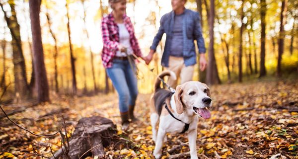 Pärchen, geht mit Hund spazieren.