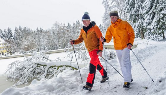 Senioren-Paar in Winterfunktionskleidung läuft mit Gehstöcken an einem zugefrorenen See in winterlicher Natur entlang