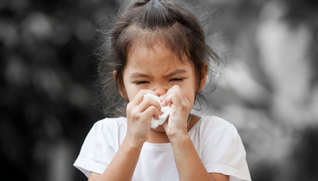 Mädchen, ca. 4 bis 5 Jahre alt, putzt sich die Nase.