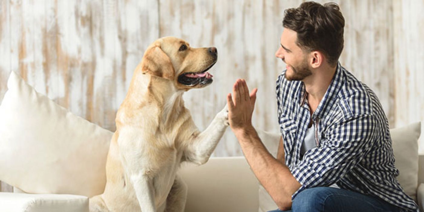 Hundesprache fördert die Bindung zwischen Mensch und Tier.
